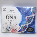 DNAトランプ